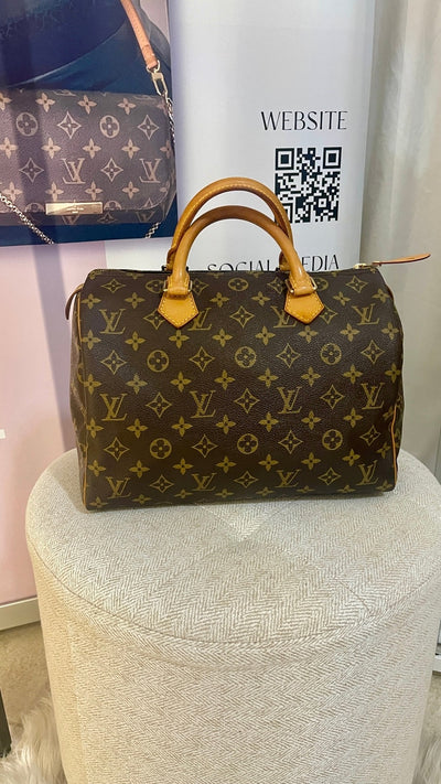 Louis Vuitton Speedy 30 Monogram Bag