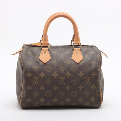 Louis Vuitton Speedy 25 Bag